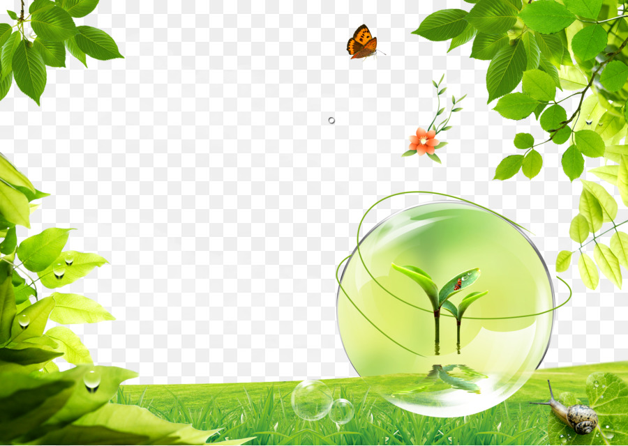 Green Grass Background png download - 3030*2150 - Free Transparent Poster  png Download. - CleanPNG / KissPNG
