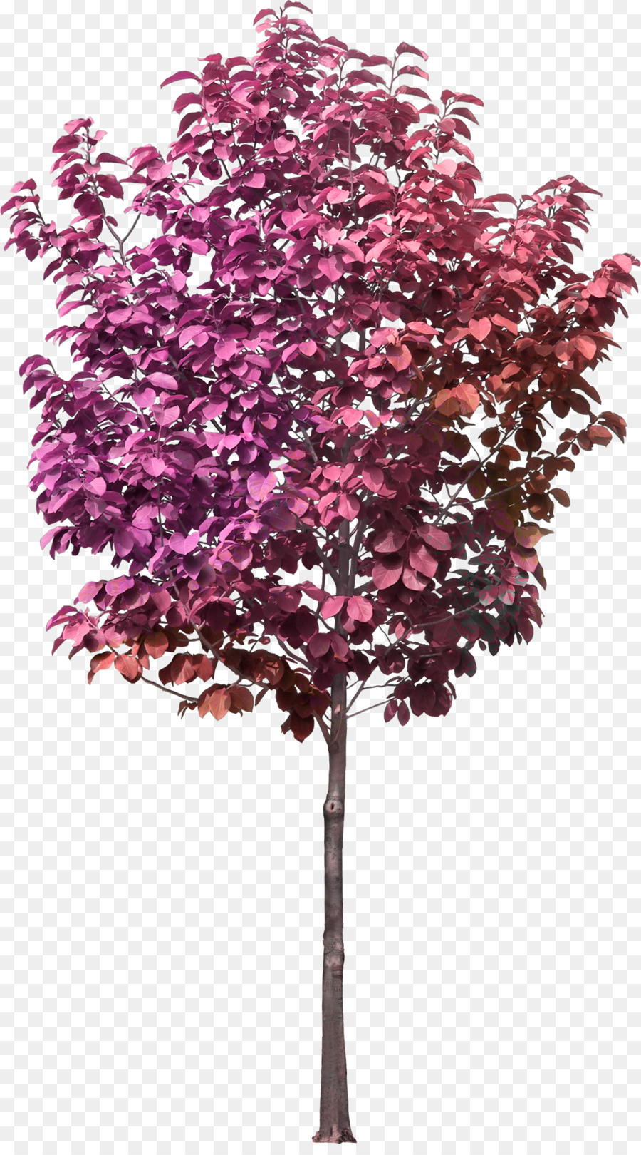 Castorama Vaso Cachepot Leroy Merlin Di Coccio - albero rosa