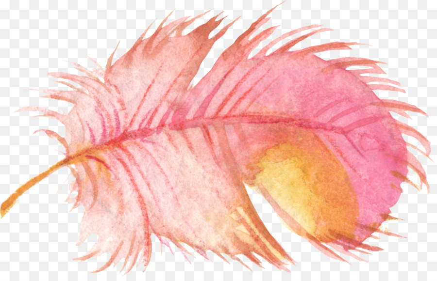 Uccello Piuma pittura ad Acquerello Clip art - Piume rosa