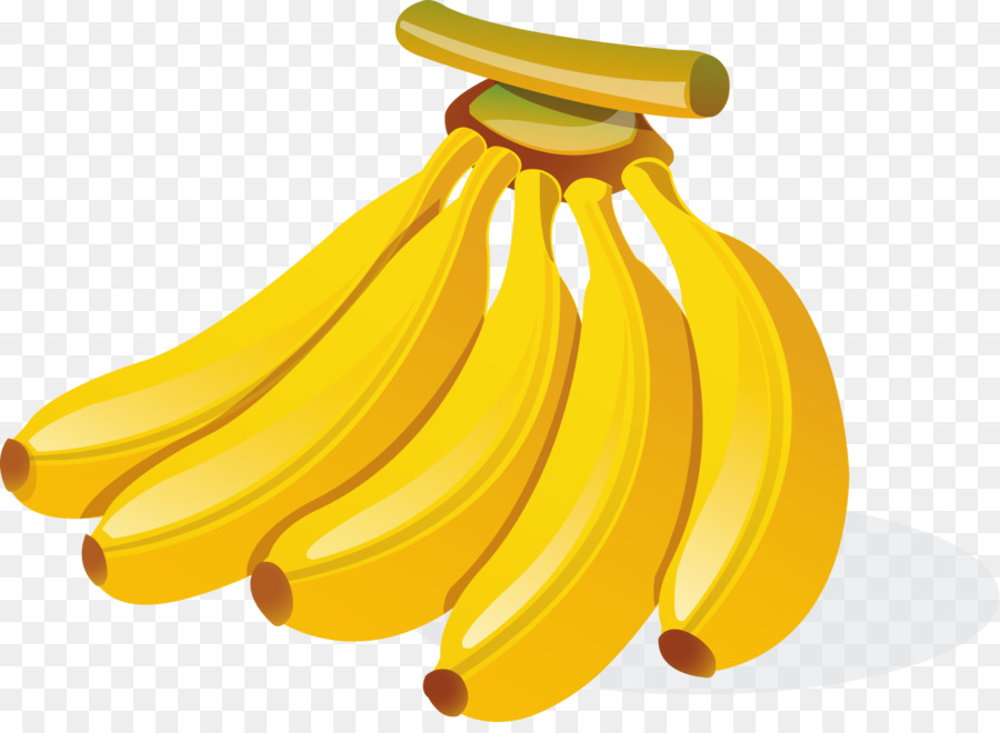 Banana Cartoon Illustrazione - Dipinto a mano golden matura casco di banane
