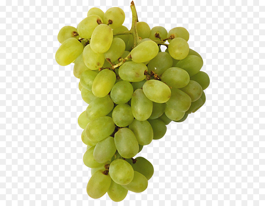 Vino Comune Vino Rosxe9 Raceme - Vettore di uva in genere