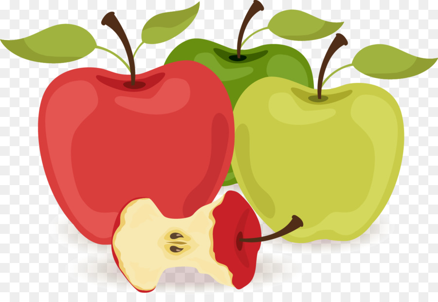 Apple Illustration - Vector apple illustration