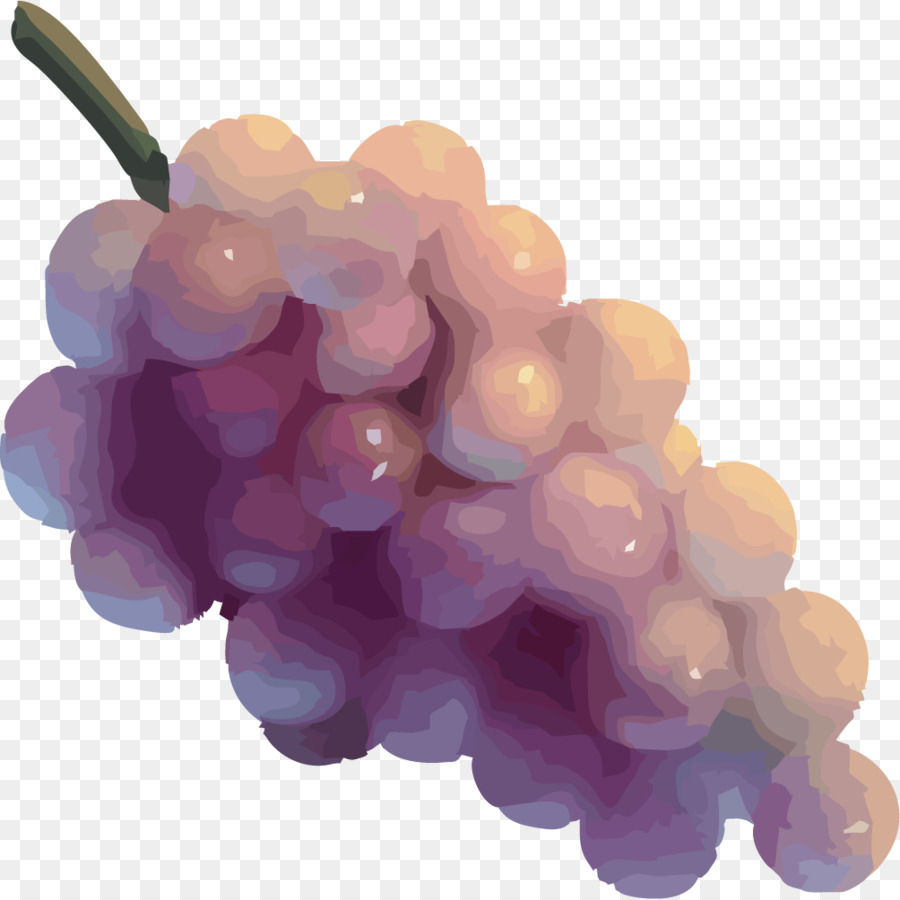 Estratto di semi d'uva senza semi di frutta - Dipinto di un grappolo d'uva