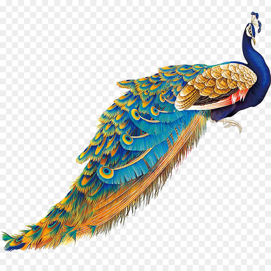 Cina Uccello Pavone Piuma - Realistico coda di pavone