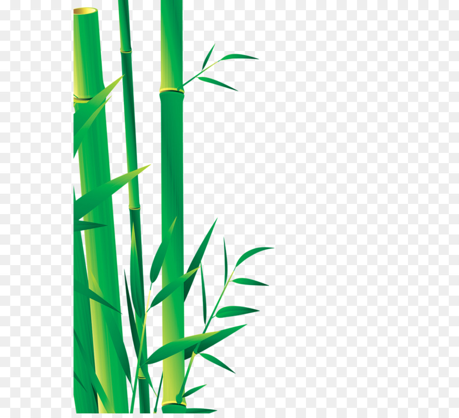 Bamboe Bambus-Symbol - Bambus