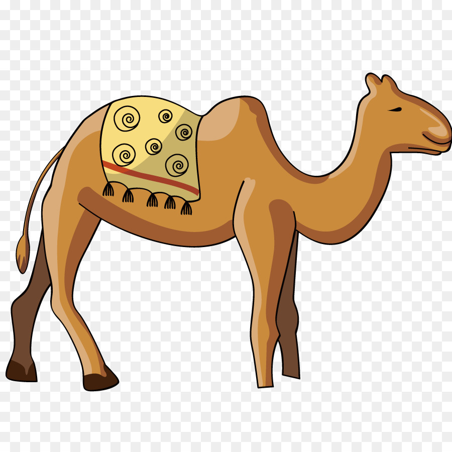 Dromedar Clip-art - Vektor-Camel Travel