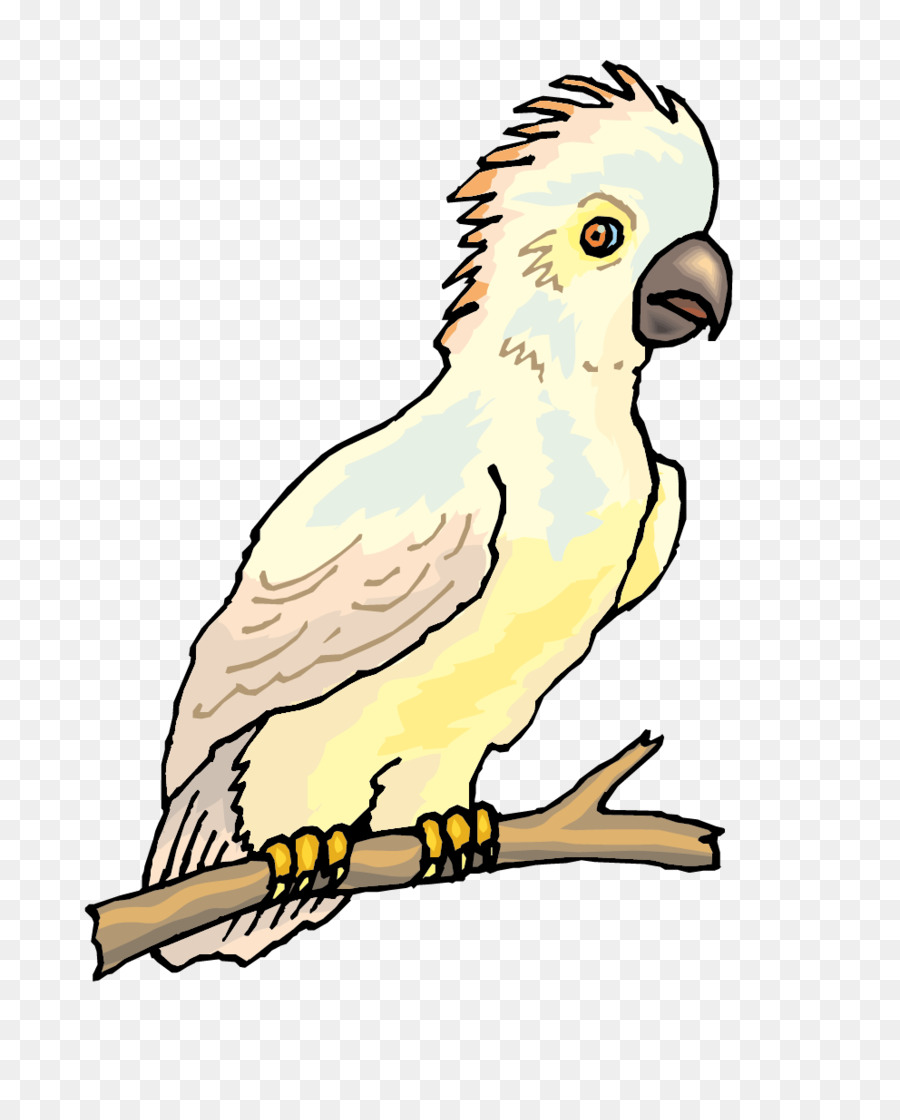 Wellensittich Vogel Kakadu Papagei Illustration - Vektor-Papagei Farbe material