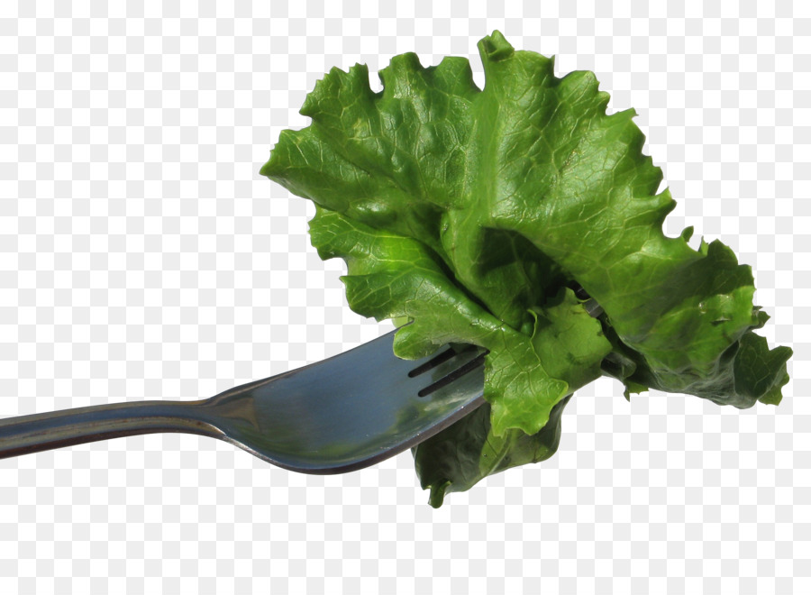 Rau Diếp Salad Thức Ăn - Buộc rau diếp fork