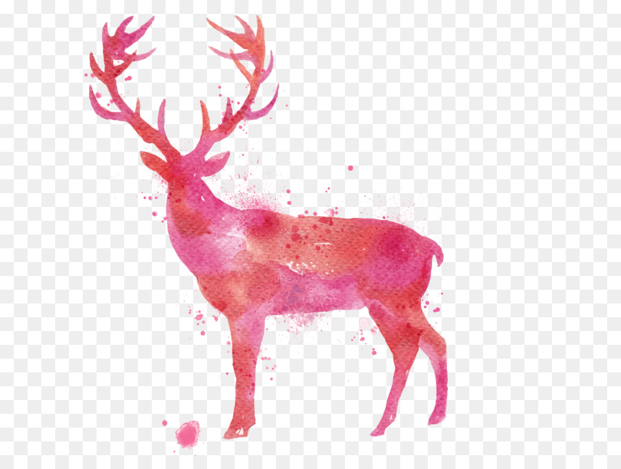 Cervo dipinto ad Acquerello, Disegno - acquerello cervo