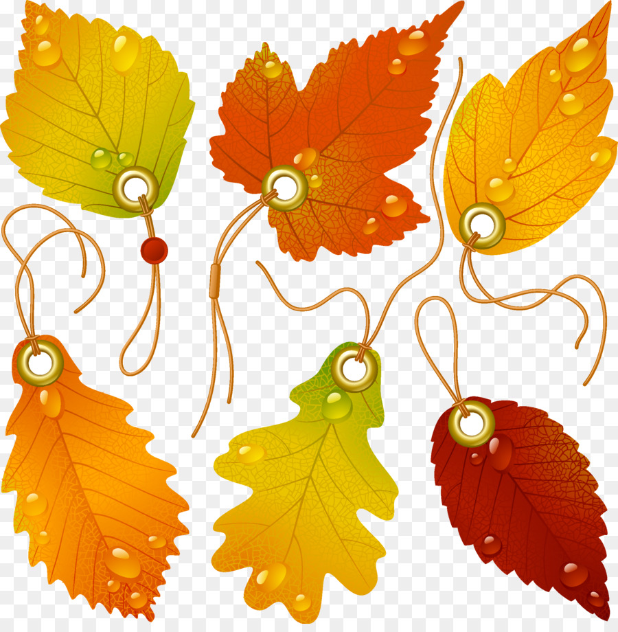 Japanischer Ahorn Herbst-Blatt, Farbe - Logo-Blätter