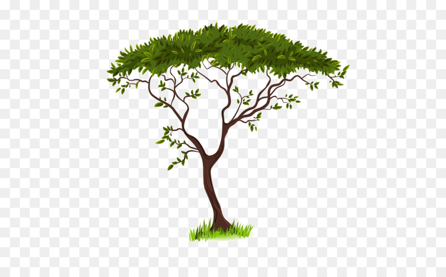 Savanne Silhouette Clip art - grüner Baum
