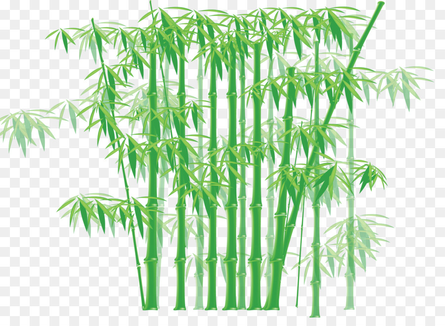 Bambus-clipart - Bambus
