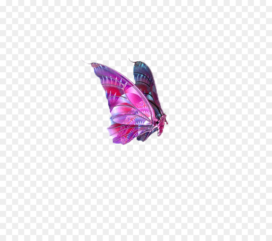 Butterfly-Image-Datei-Formate Clip-art - Schmetterling,Insekt,Muster