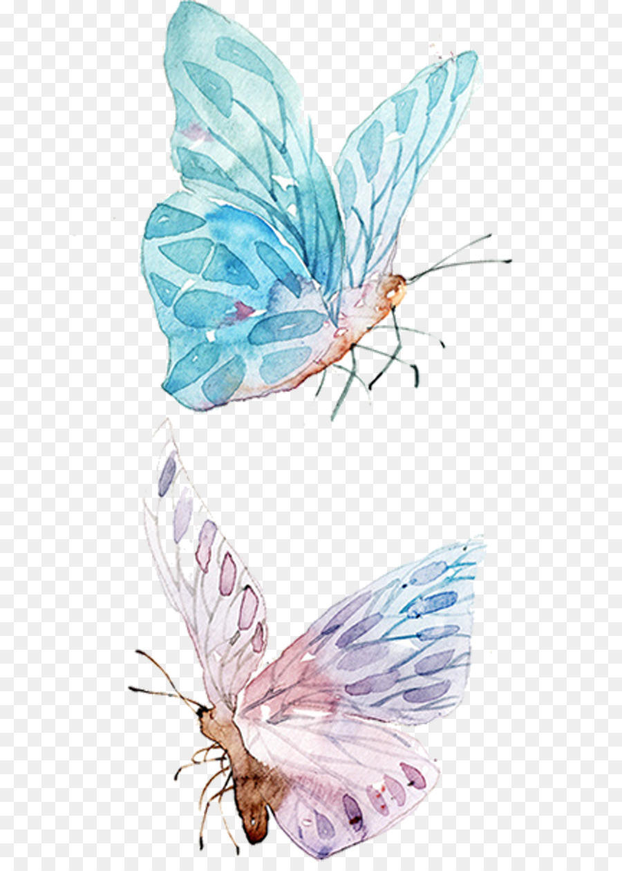 Màu nước sơn Vẽ Clip nghệ thuật - bướm màu xanh