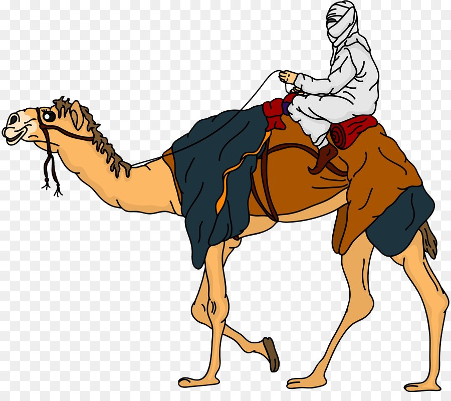 Bướu lạc đà con Lạc đà cưỡi ngựa Clip nghệ thuật - Một người đàn ông lạc đà