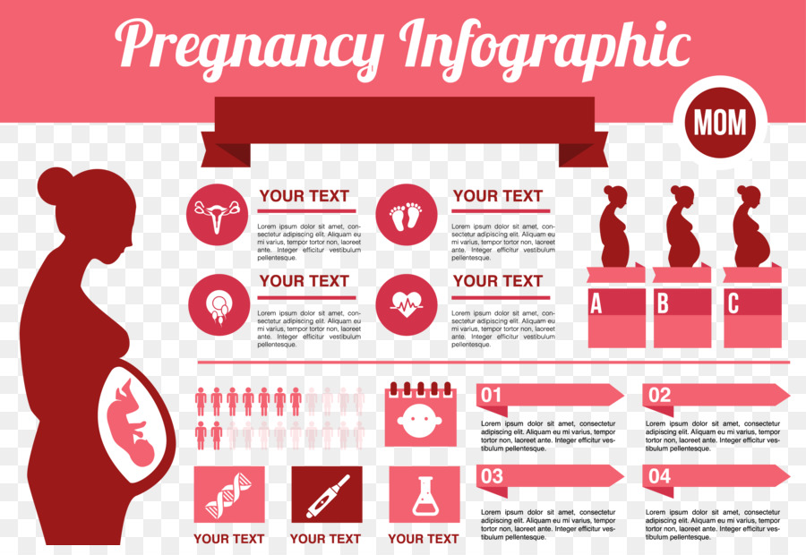 Infografik Schwangerschaft, Geburt - Schwangere Frauen Informationen, Daten, PPT material