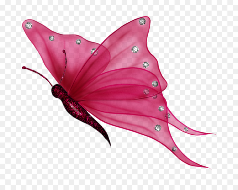 Butterfly Cartoon png download - 1024*801 - Free Transparent Butterfly png  Download. - CleanPNG / KissPNG