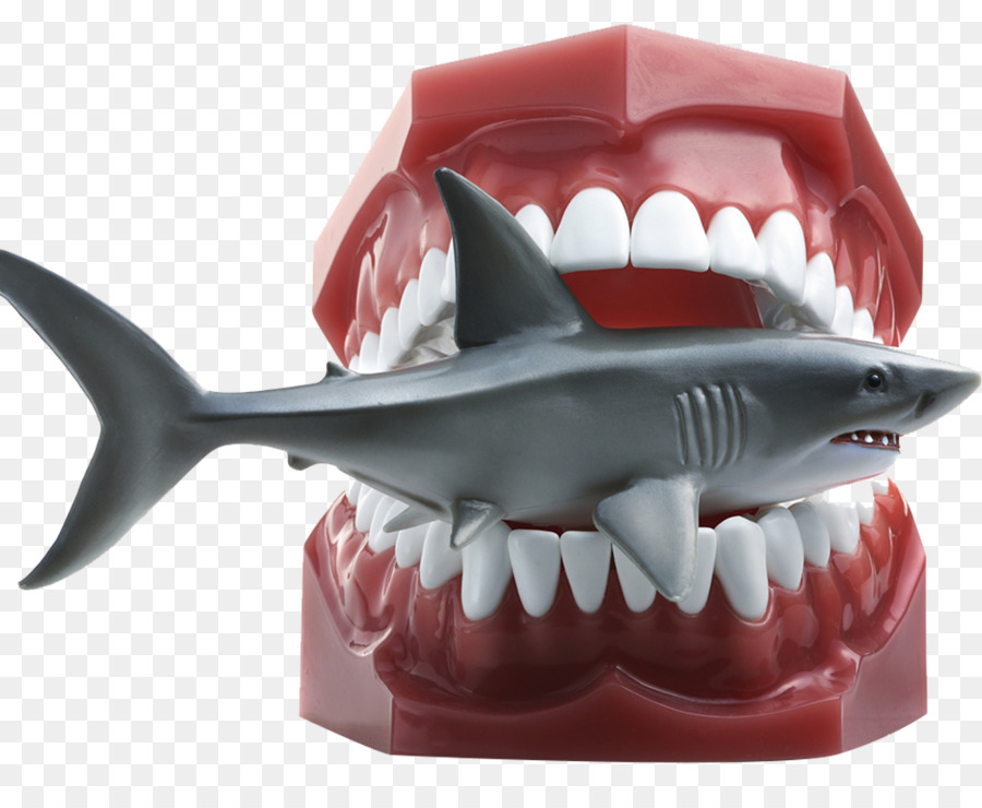 Shark Getty Images Stock Fotografie Download - Shark Modell
