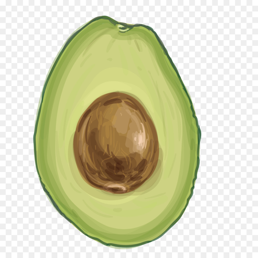Essen - Vektor avocado
