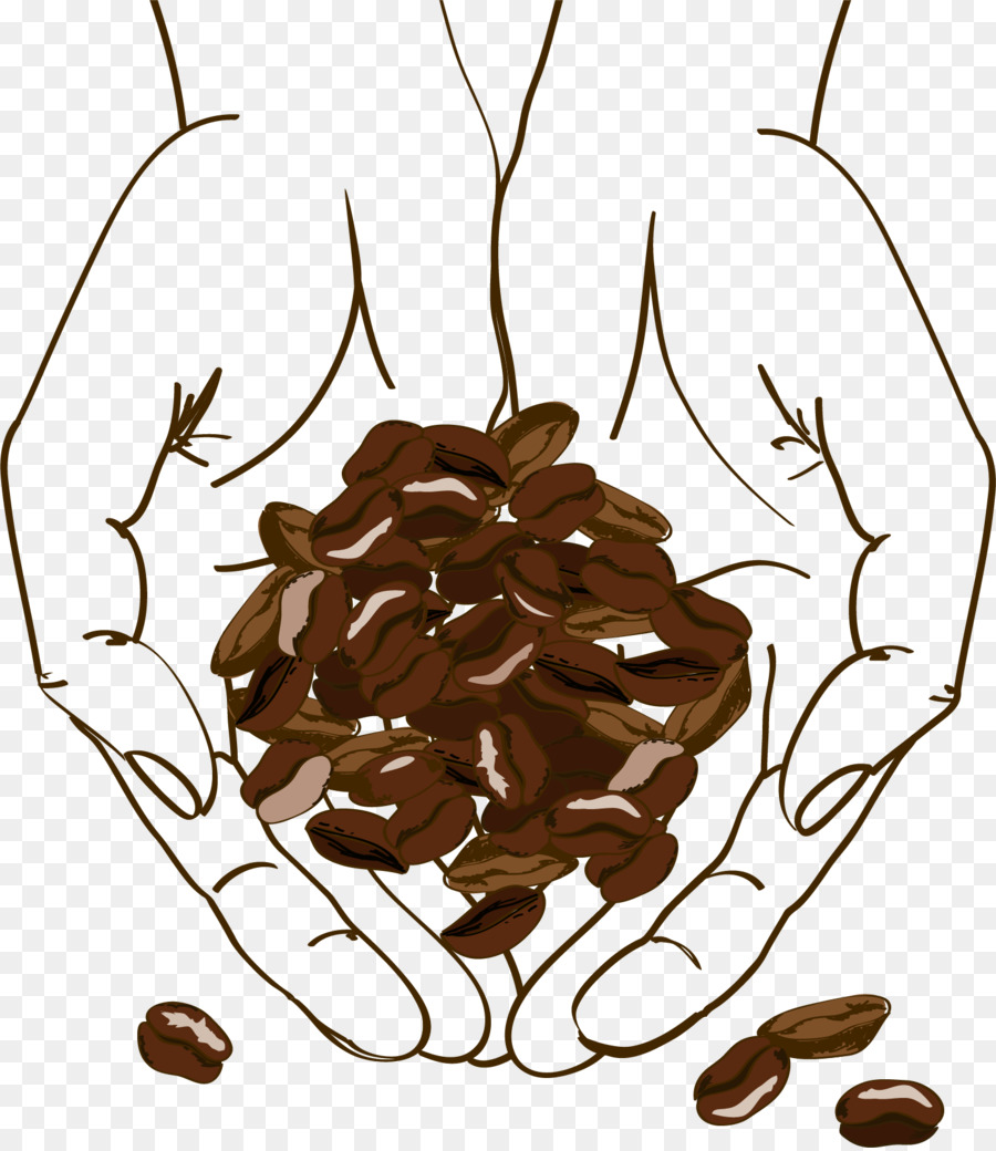 Coffee bean Cafe Hoạ - Brown giữ hạt cà phê