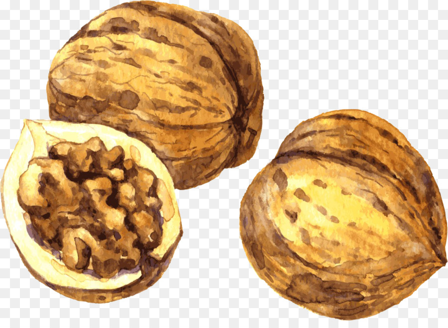 Walnut Bức Tranh Vẽ - Vẽ tay walnut sức khỏe, thức ăn liệu