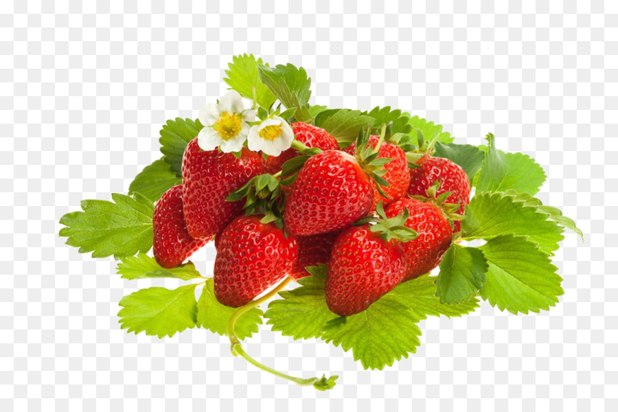 Erdbeere Bio-Lebensmittel - Erdbeere