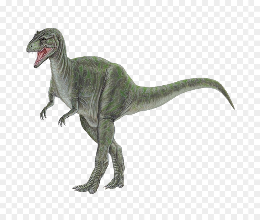 Tyrannosaurus Allosaurus Stegosauro Dinosauri Apatosaurus - Dinosauro