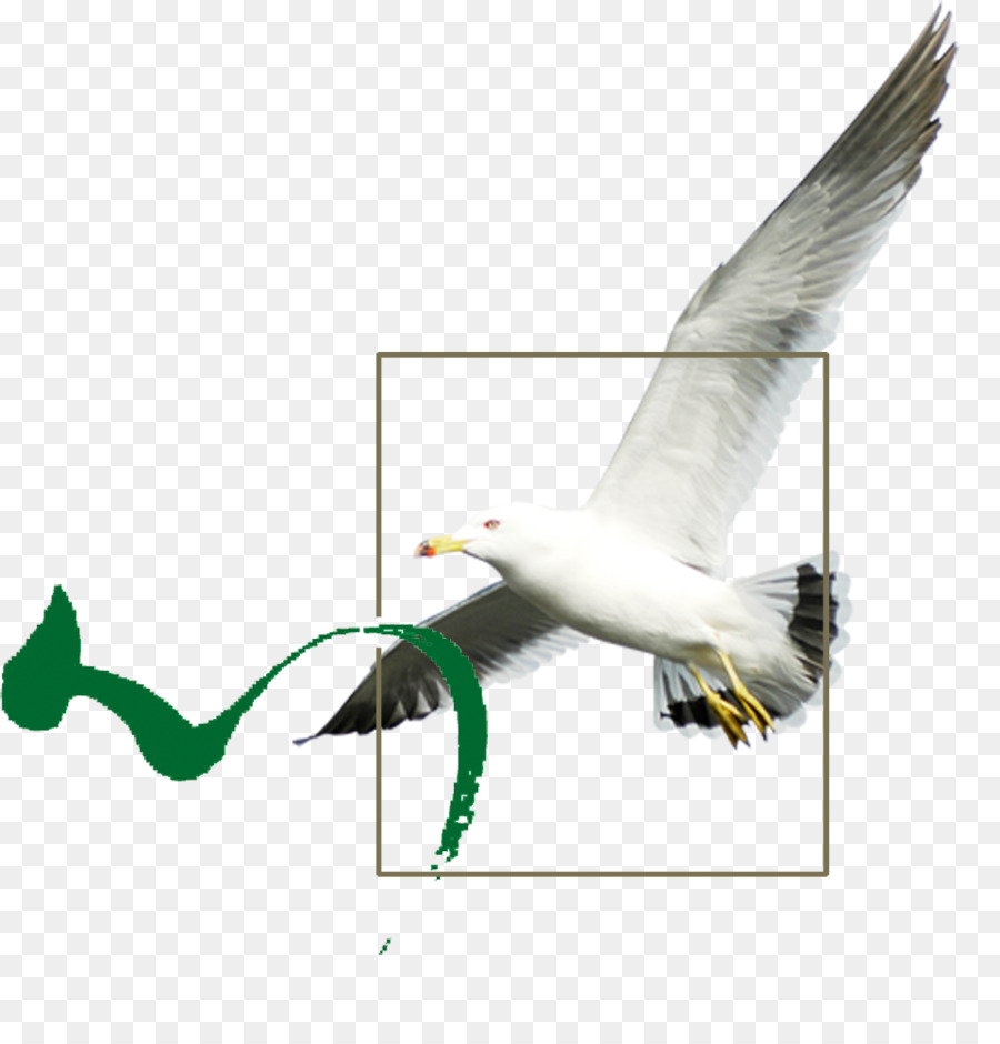 Uccello Icona Di Download - uccello