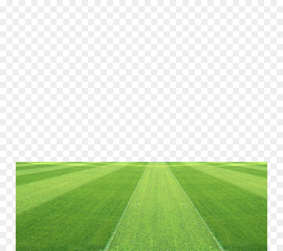 Green Grass Background png download - 800*800 - Free Transparent Football  Pitch png Download. - CleanPNG / KissPNG