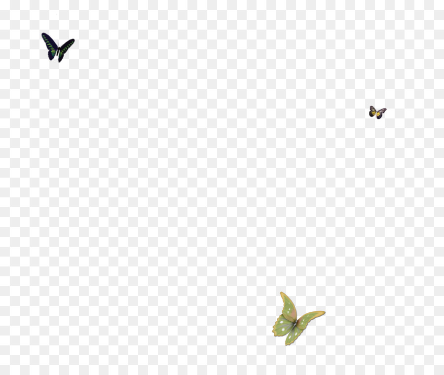 Uccello Verde Angolare - Farfalla petali galleggianti bolla semplice ed elegante