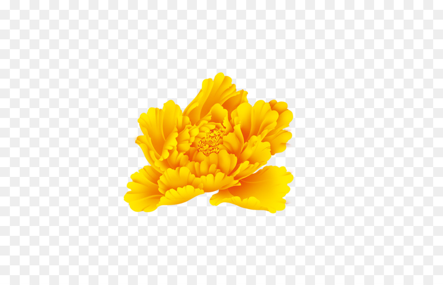 Gelb Moutan peony Flower - Pfingstrose