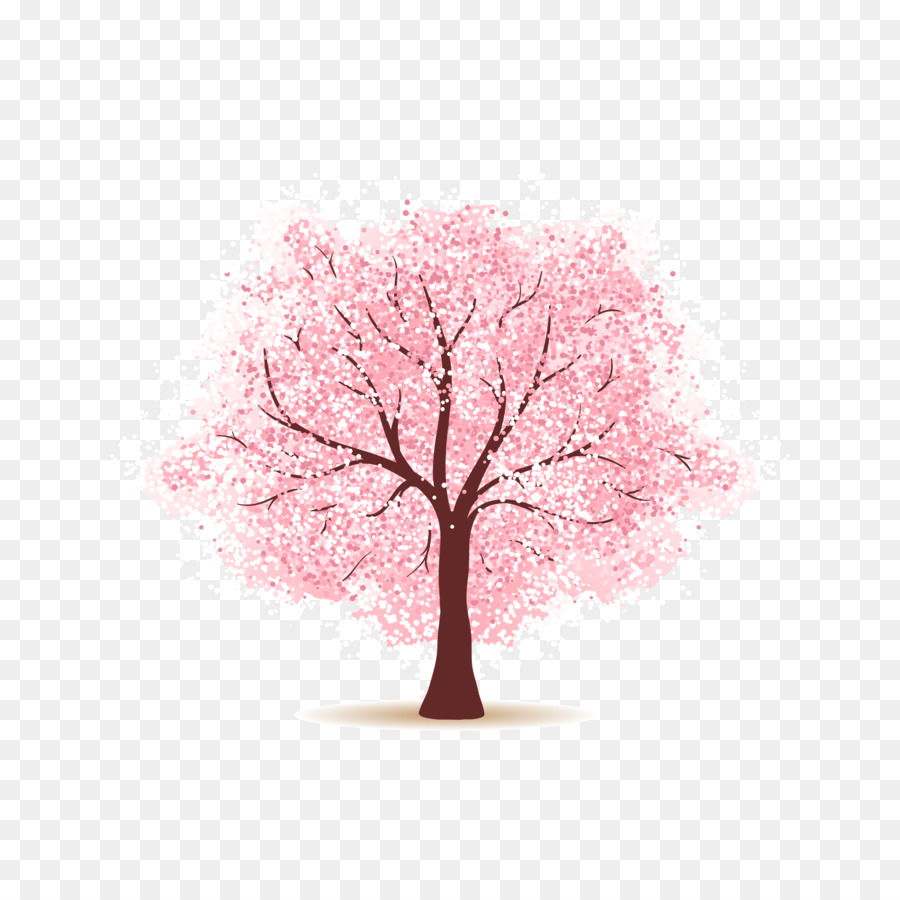 Hoa anh đào Giấy Cây - cây anh đào màu hồng
