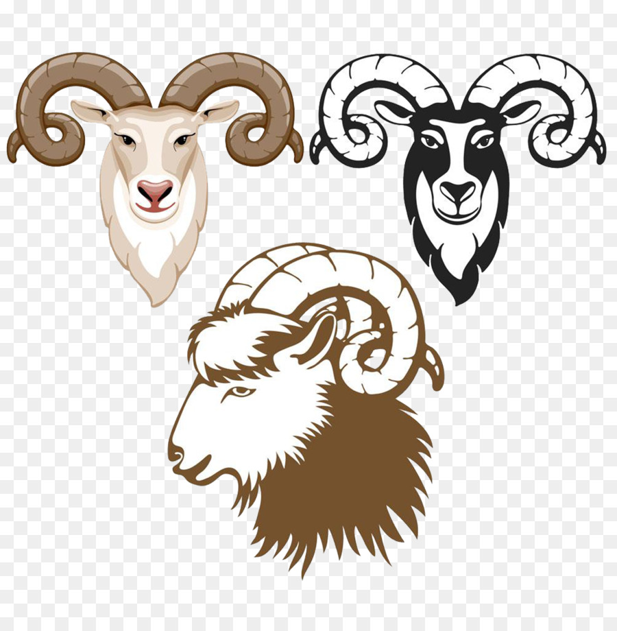 Logo Cartoon - Drei Arten von Schafen-logo material