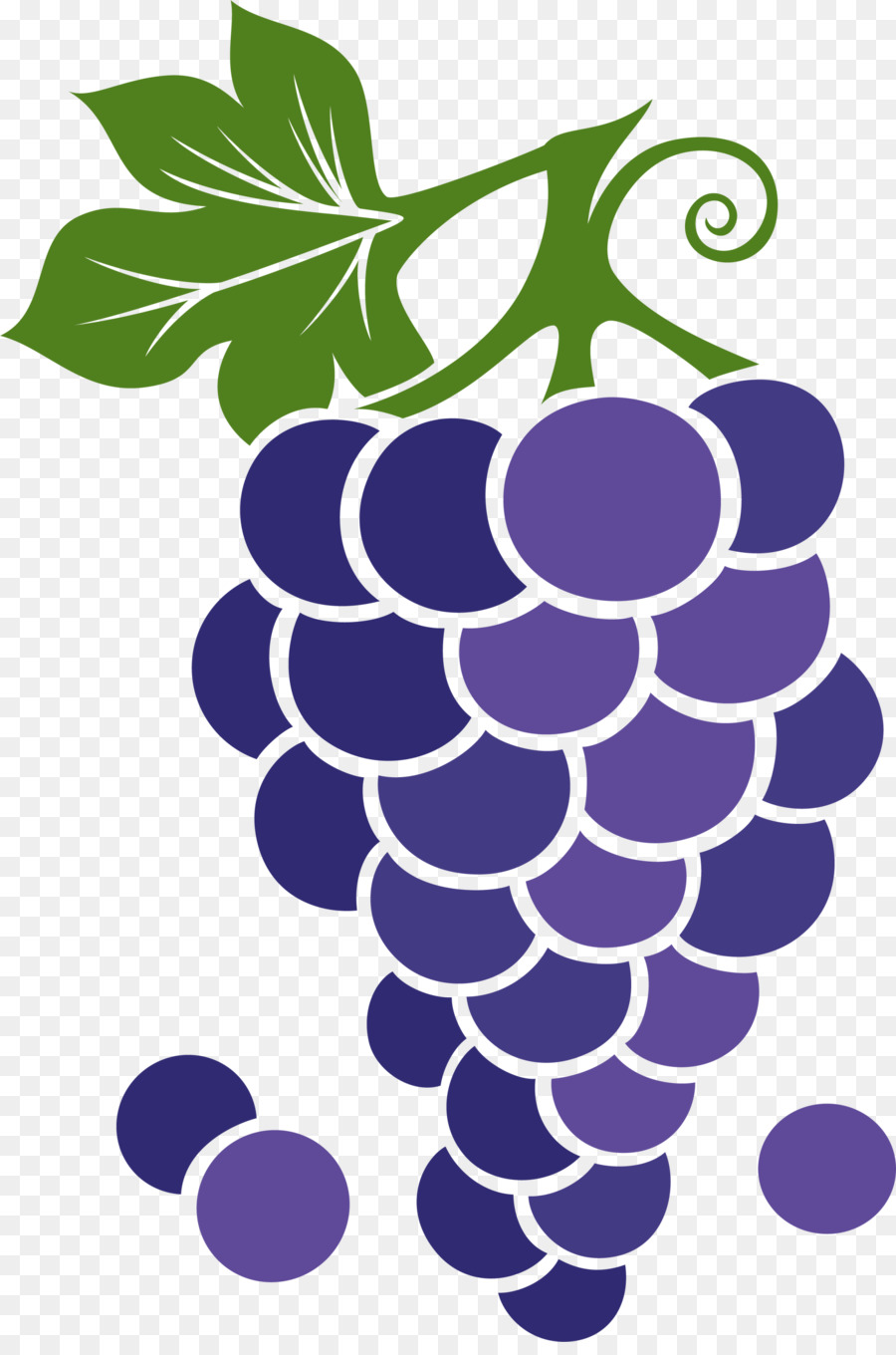 Grapes fresh fruit drawing icon Royalty Free Vector Image