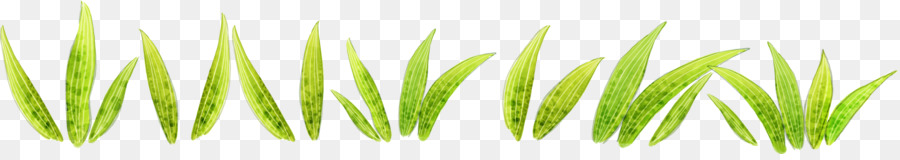 Prato Verde, Illustrazione - Verde erba, il vento