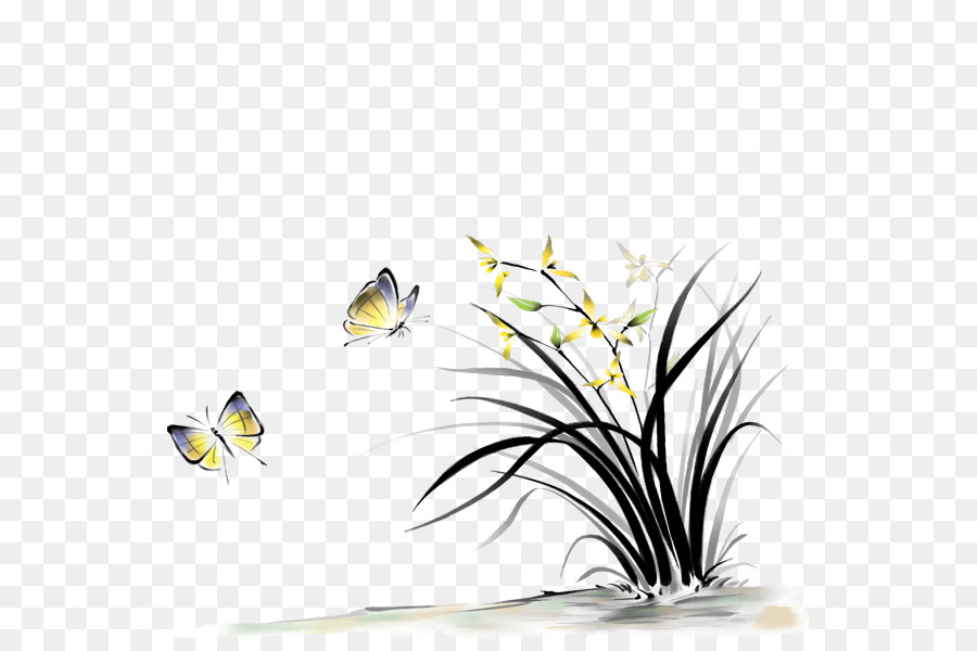 Lan Hoa amabilis Mực rửa sơn Màu nước sơn - mực cỏ