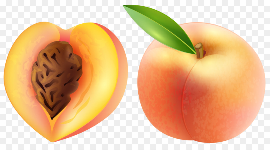 Nội dung miễn phí Clip nghệ thuật - peach.