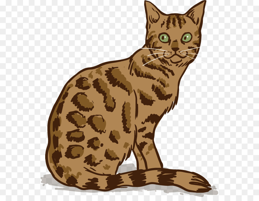Cat Cartoon png download - 618*686 - Free Transparent Bengal Cat png  Download. - CleanPNG / KissPNG