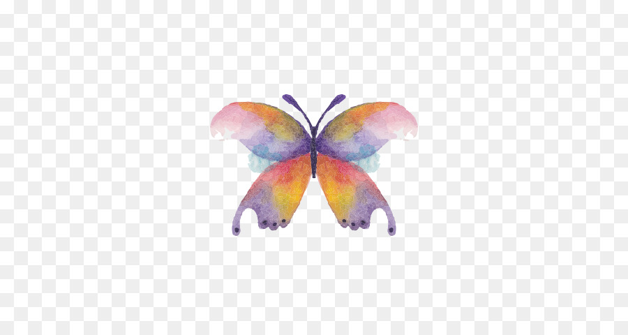 Farfalla dipinto ad Acquerello, Disegno - farfalla