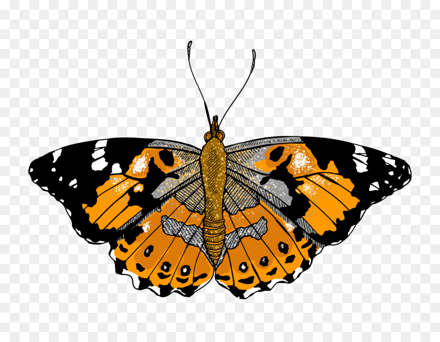 Schmetterlings Malerei Illustration - lackiert Glas cliparts