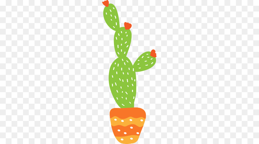 Cactaceae Zeichnung Prickly-pear-Illustration - Kaktus