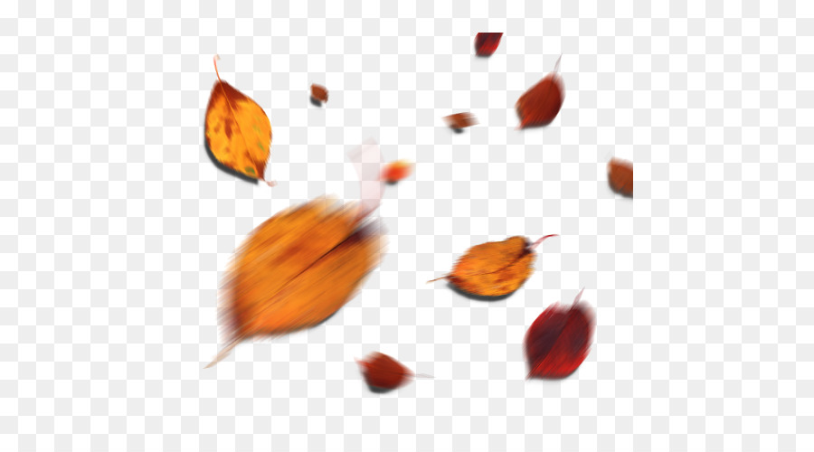 Foglia D'Autunno Giallo Latifoglie - autunno, foglie gialle