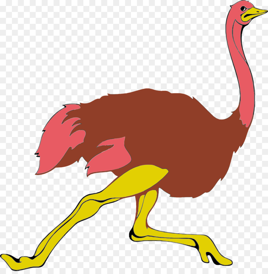 Common ostrich Pixabay Clip-art - Ausführen von Strauß