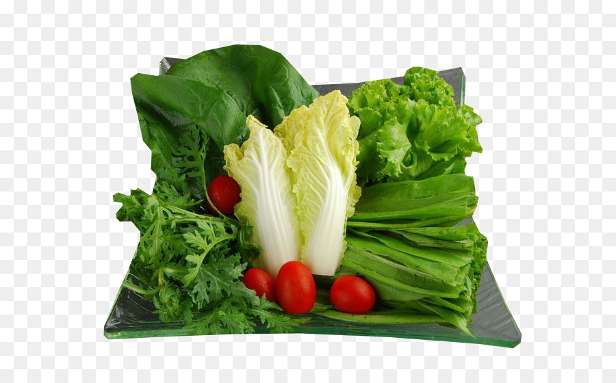 Lẩu Củ cải lương Thực Salad mùa Xuân xanh - rau
