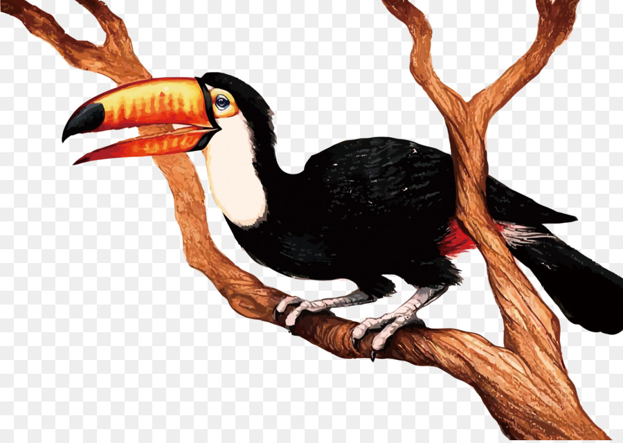 Vogel Cartoon Clip art - Vektor Big Bird