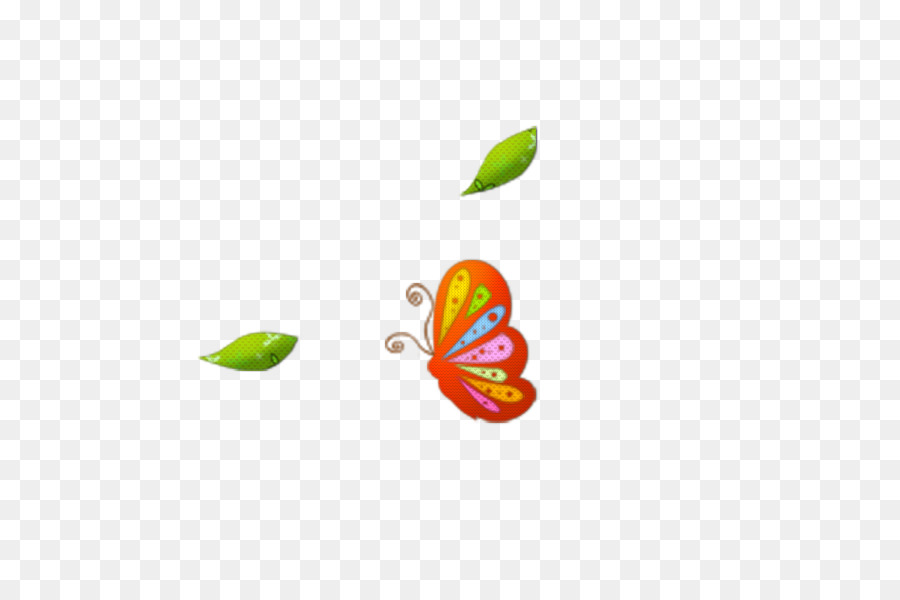 Farfalla Sfondo Del Computer - farfalla