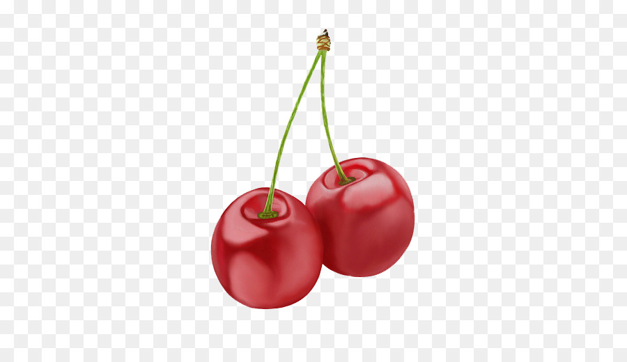 Fiori di ciliegio, Illustrazione - Rosso Ciliegia Fresca
