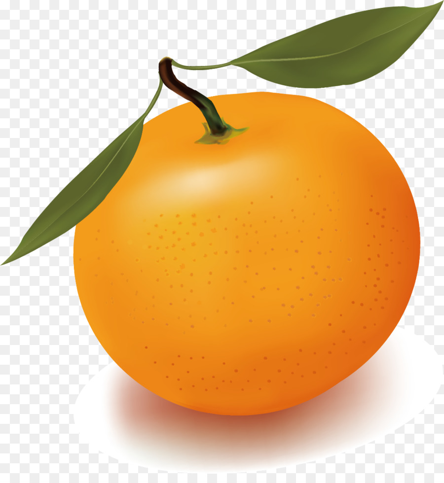 Orangensaft Freie Inhalte Clip-art - orange Vektor
