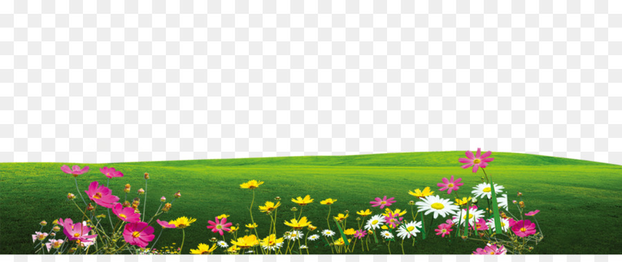 Chemisches element Muster - Effekt-element,Florale Elemente,Blumen,grün,Rasen