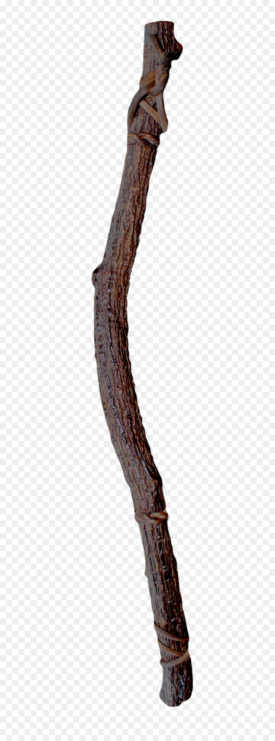 fotografia stock - marrone tronco d'albero